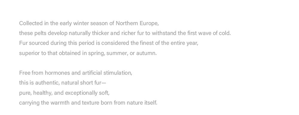 original geometric check pattern — new imported full pelt mink fur coat for women, over knee long style