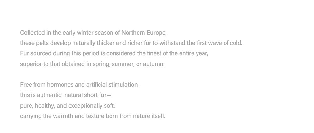 original high luxury “starlit” imported russian sable fur coat — full pelt new winter outerwear