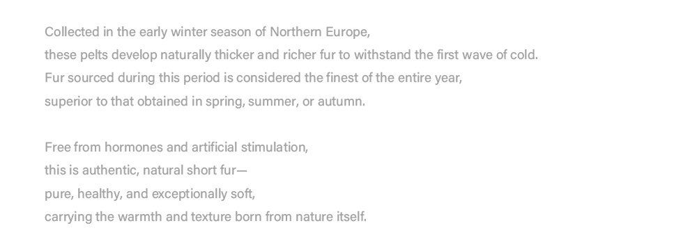 original imported velvet full pelt mink fur jacket for women — short winter coat, 2025 collection