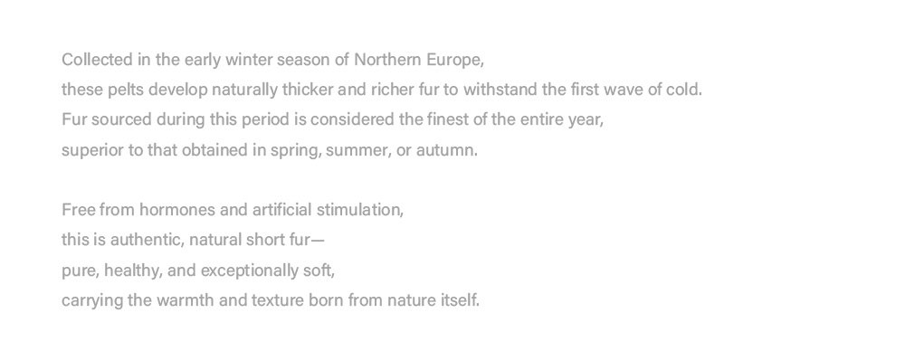 heavy craftsmanship teddy style mink fur coat for women — imported hooded mink fur outerwear, new winter collection