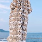 original lynx pattern luxury coat — imported american lynx fur outerwear, 2025 new collection