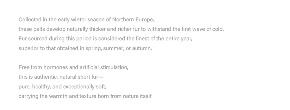 original teddy crystal embellished plucked mink fur coat for women — imported mink, 2025 new collection