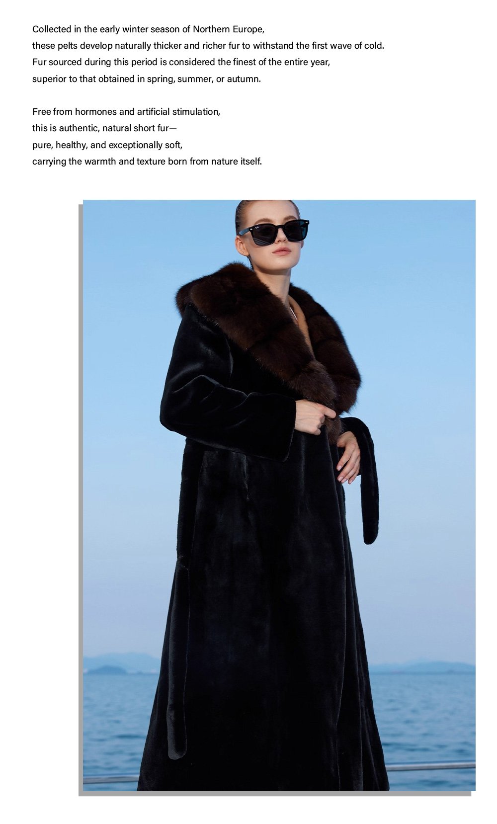 women’s full pelt mink fur coat – purple mink collar, fashionable & youthful, winter new collection