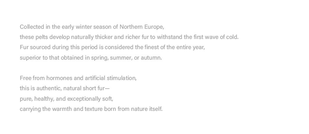 original imported mink fur coat for women — long vintage tone style, fashion winter new arrival