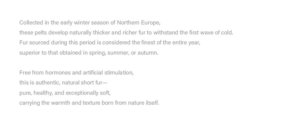 2025 new imported full pelt mink fur coat for women — loose fit long luxury fur outerwear